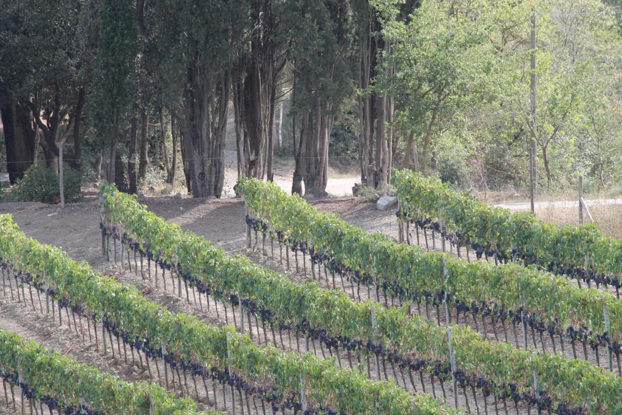 Agriturismo Il Poderuccio Castiglione dʼOrcia Esterno foto